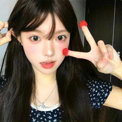 少数意见